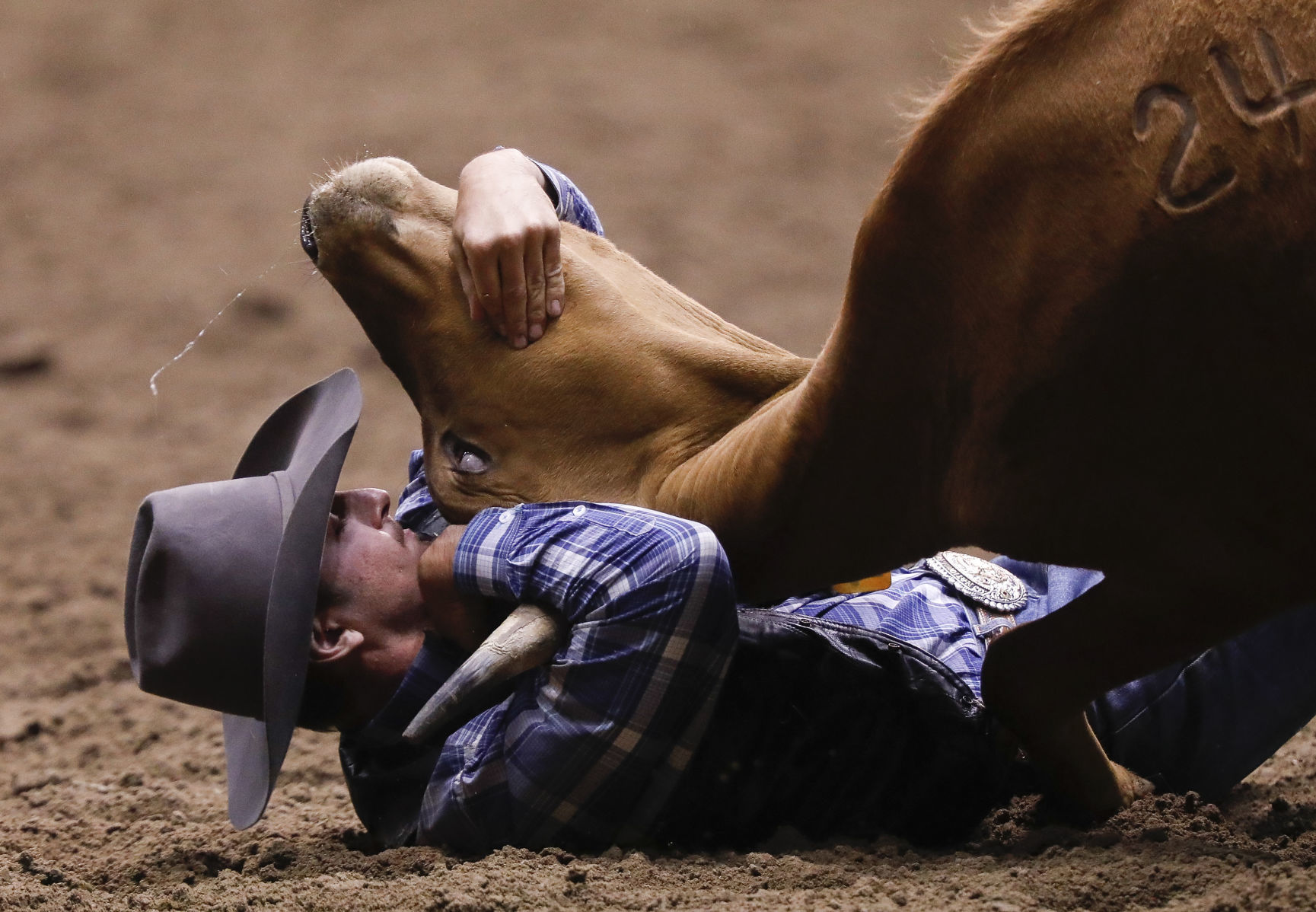 CNFR - Tuesday